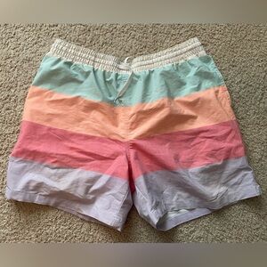 Men’s Chubbies Swim Trunks